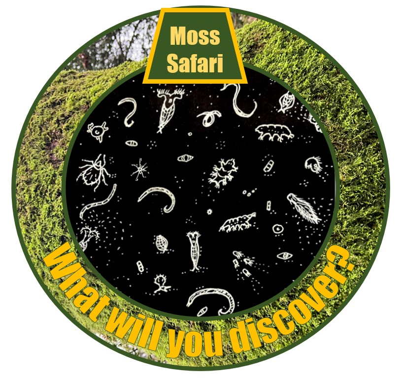 British Science Week 2023: Why do a Moss&nbsp;Safari?