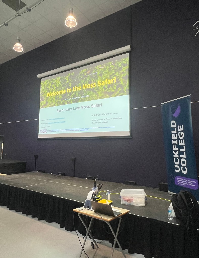 Moss Safari on a large screen on stage in an auditorium at Uckfield College.