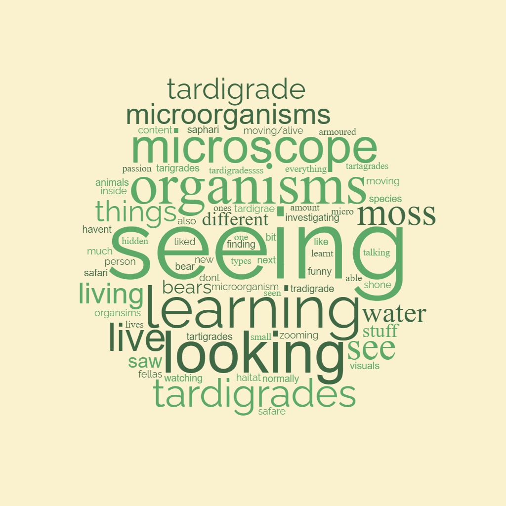 Wordcloud from students’ responses to ‘What did you like best on Moss Safari?'
Dominant words are: Seeing, learning, looking, microscope, organisms.