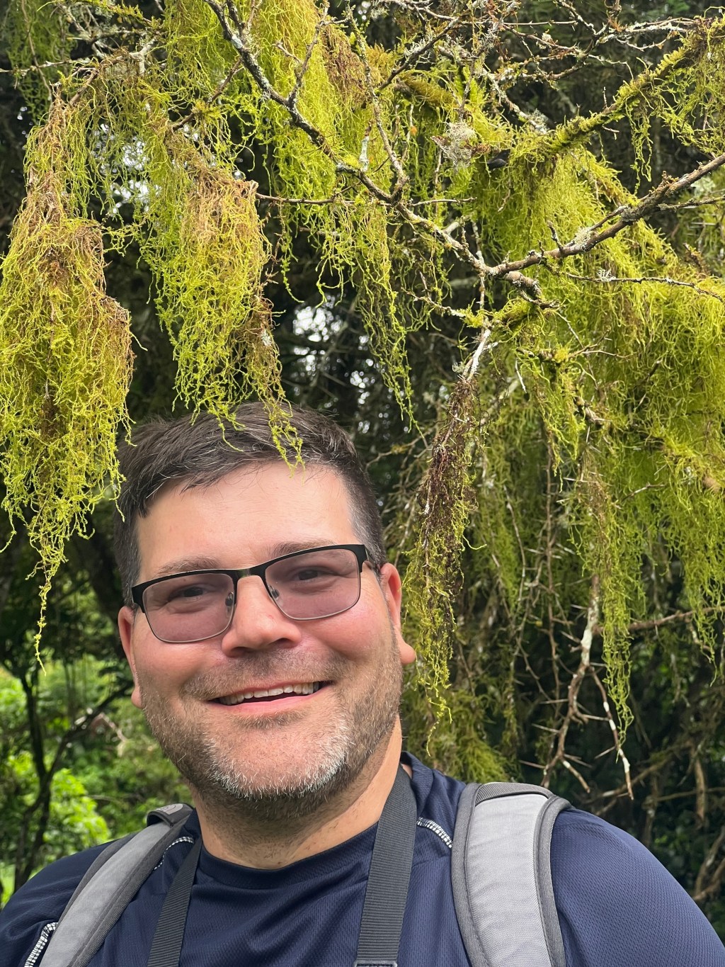 Moss Safari: Review of the Year&nbsp;2023