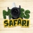 Moss Safari in Secondary Schools – Moss Safari Avatar