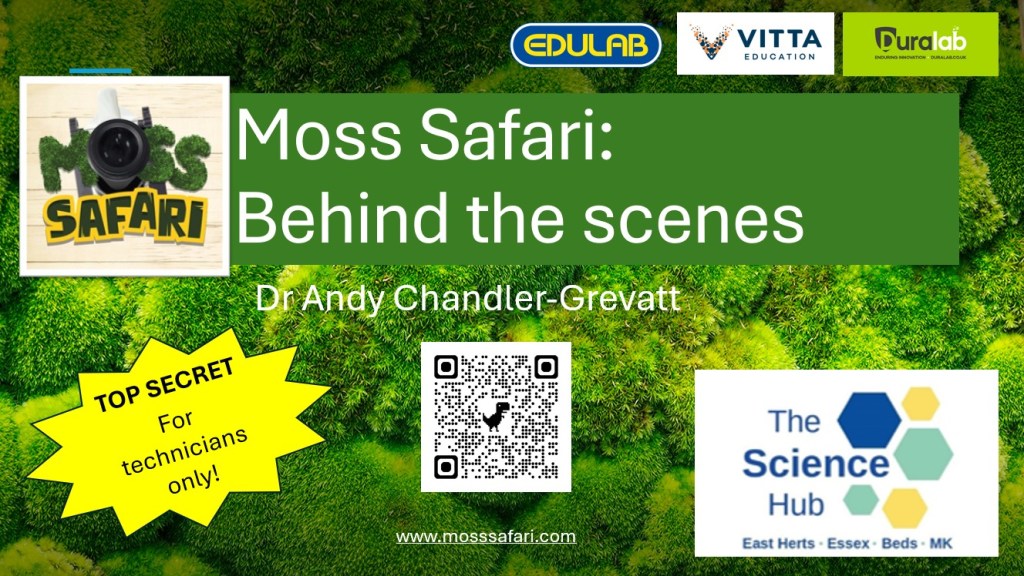 Behind the Scenes of Moss Safari at TechFest&nbsp;Online