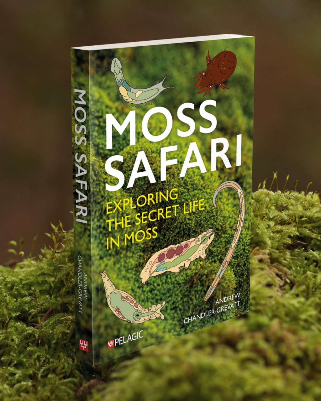 Explore the Secret Life In Moss: Book&nbsp;Launch