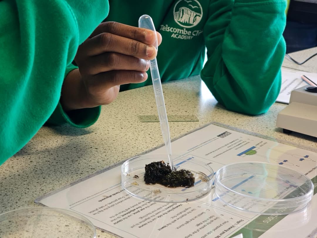 Scan Moss What Will You Discover? Year 6 on Moss Safari – Moss Safari