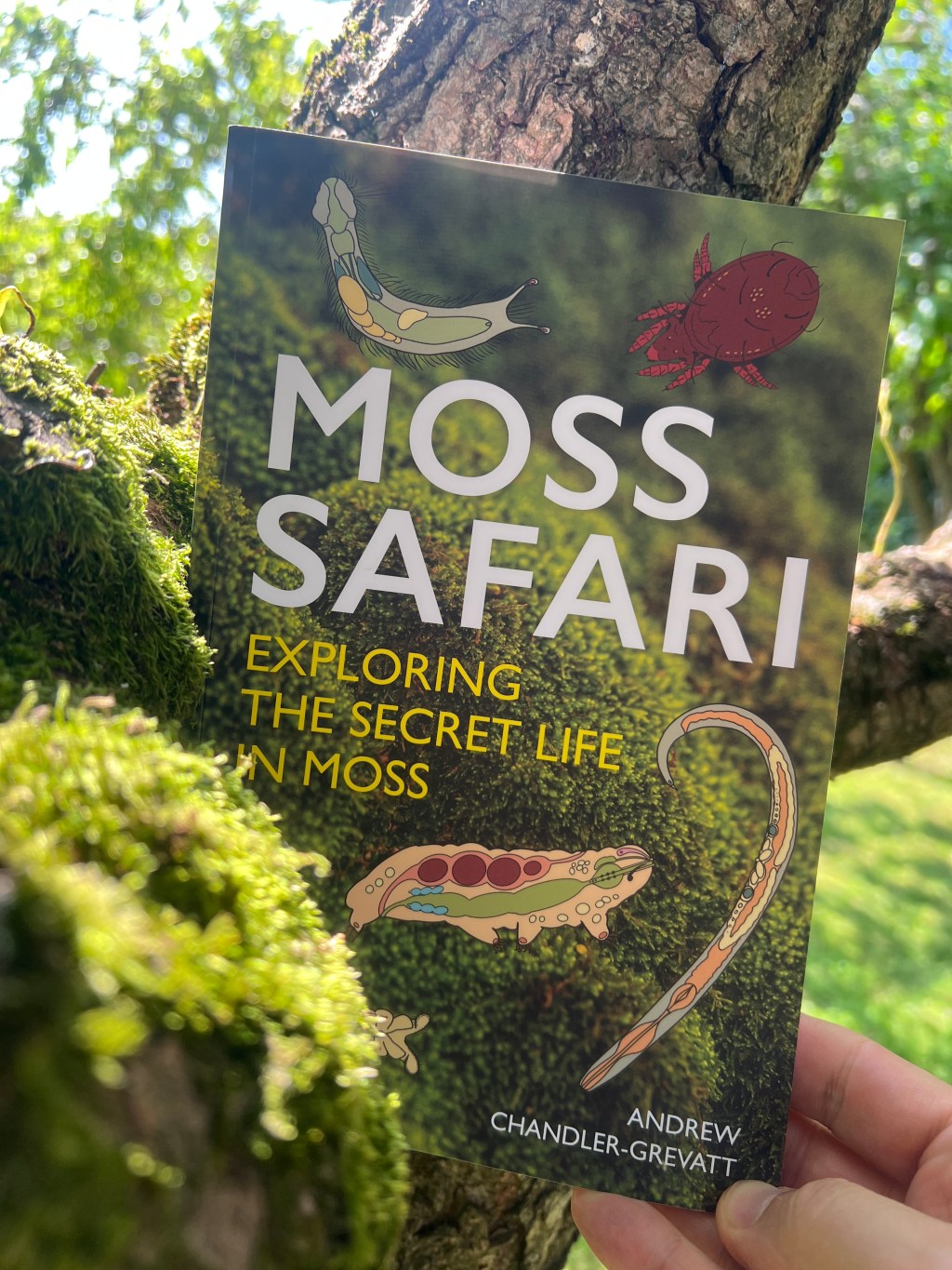 Where do you Moss?&nbsp;Challenge