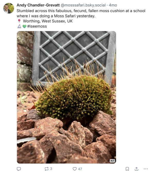Discovering mosses – Moss Safari