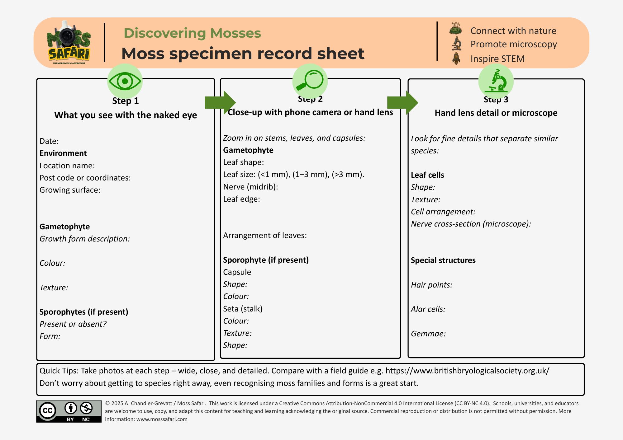 Discovering Mosses Series: Steps to identifying a moss – Moss Safari