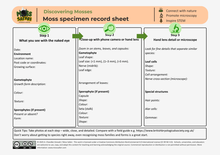 Discovering Mosses Series: Steps to identifying a moss – Moss Safari