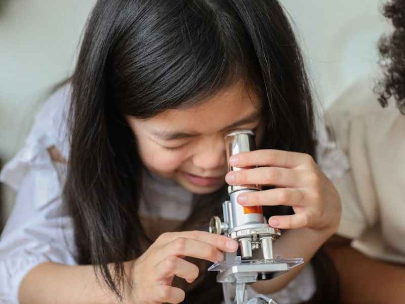 Which Microscope? For youngsters, school kids and&nbsp;hobbyists