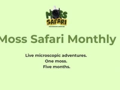 Join a live Moss Safari Online: Moss Safari&nbsp;Monthly