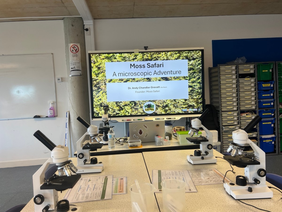 First Contact: What Trainee Teachers Found in&nbsp;Moss