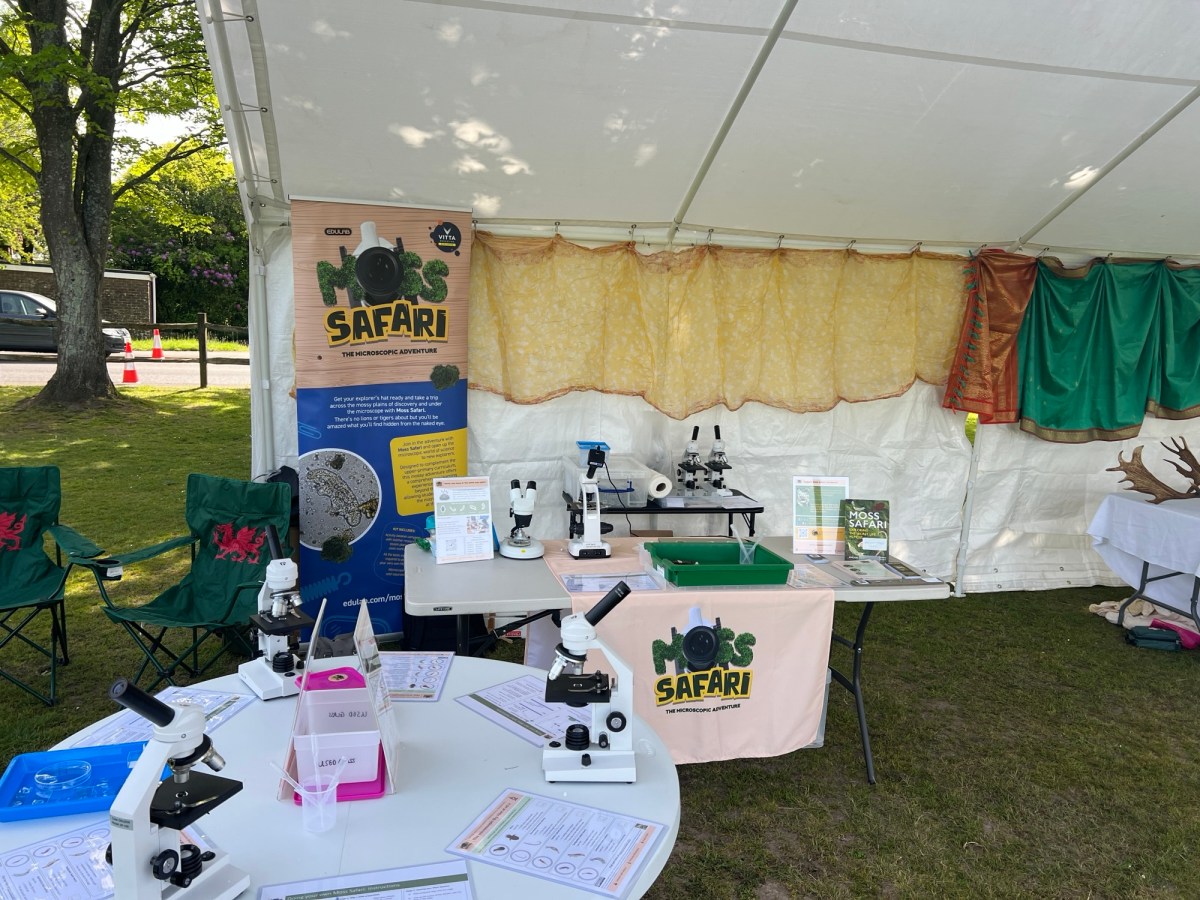Reflections on the Storrington White Stork and Nature&nbsp;Festival