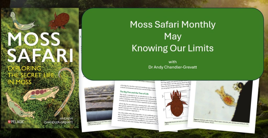 Moss Safari Monthly #4: Knowing Our&nbsp;Limits